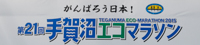 2015teganuma